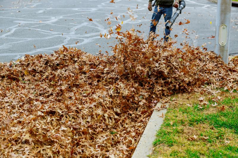 Aerial View of Leaf Collection