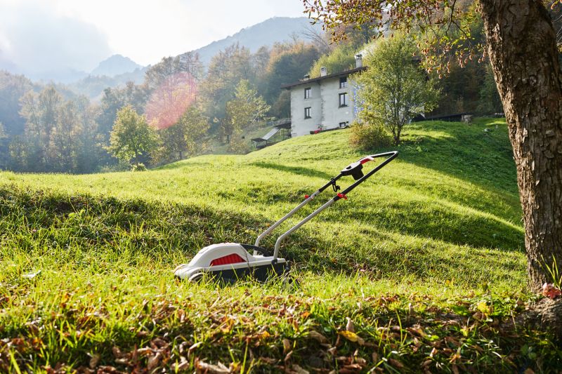 Leaf Mowing