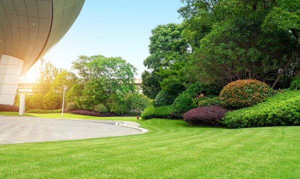 Cost of Commercial Lawn Mowing in Delray Beach