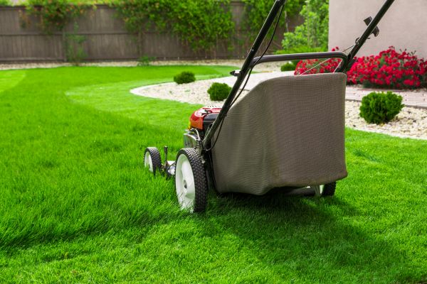 Cost of Grass Mowing in Delray Beach