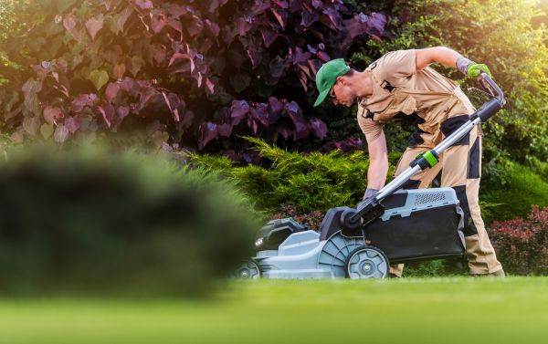 Lawn Care And Maintenance in Delray Beach