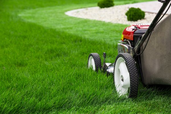 Yard Maintenance in Delray Beach