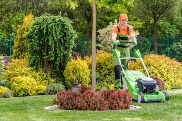 Cost of Yard Service in Delray Beach
