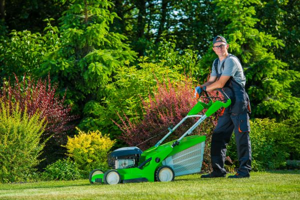 Cost of Yard Work Service in Delray Beach