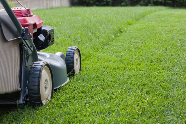 Cost of Residential Lawn Care in Delray Beach