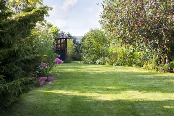 Cost of Yard Upkeep Service in Delray Beach