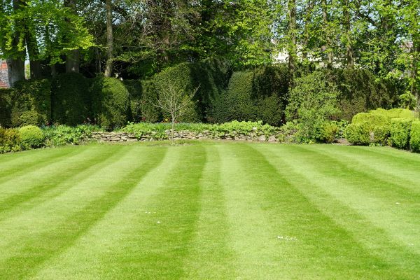 Cost of Grass Care Service in Delray Beach