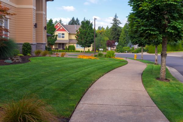 Cost of Home Lawn Maintenance in Delray Beach