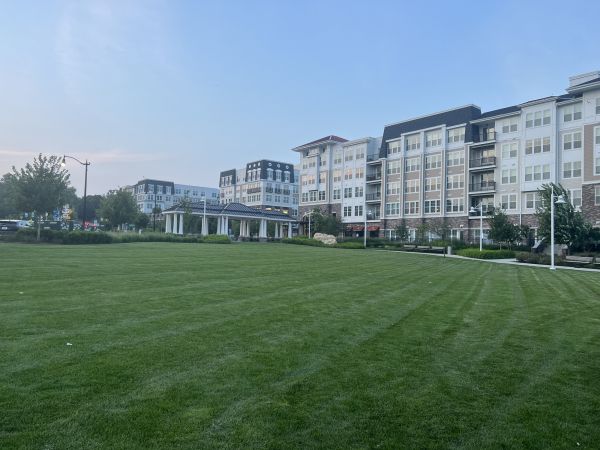 Cost of Urban Lawn Care in Delray Beach