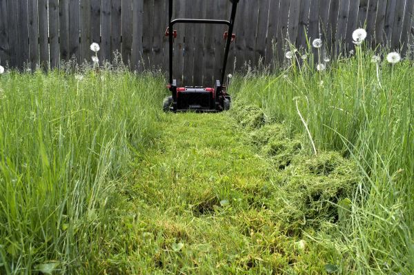 Cost of High Grass Mowing in Delray Beach