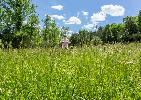 Cost of Long Grass Mowing in Delray Beach