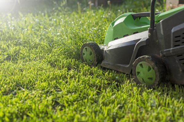 Cost of Lot Mowing in Delray Beach