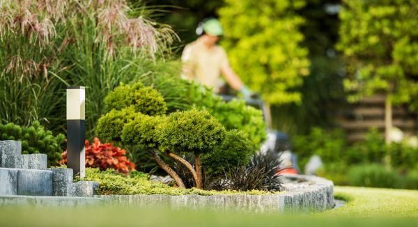 Cost of Residential Yard Maintenance in Delray Beach