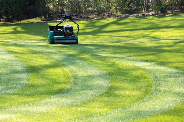 Cost of Business Lawn Mowing in Delray Beach