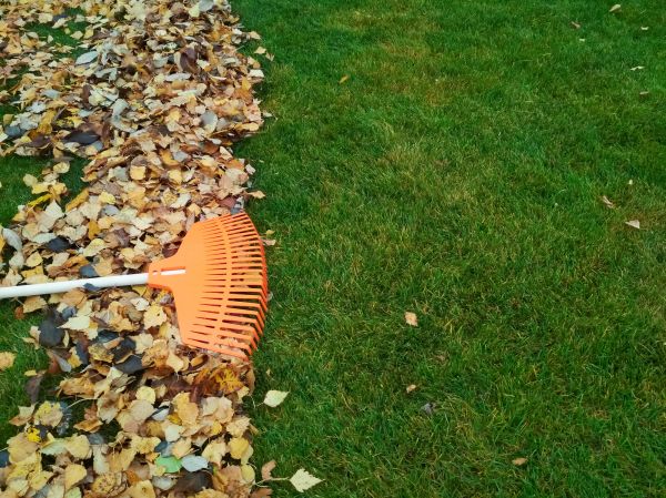 Cost of Fall Lawn Care in Delray Beach
