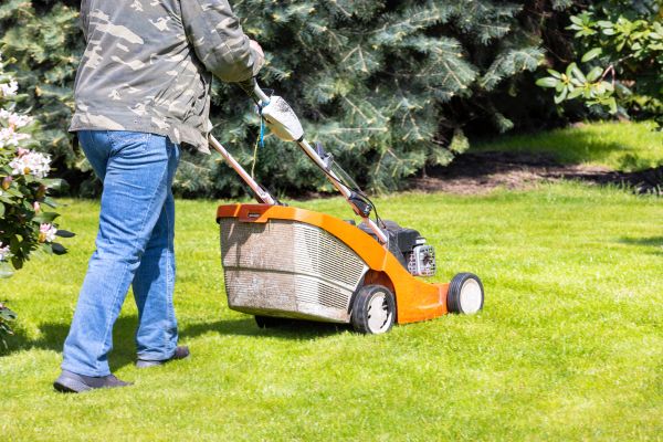 Springtime Lawn Care in Delray Beach