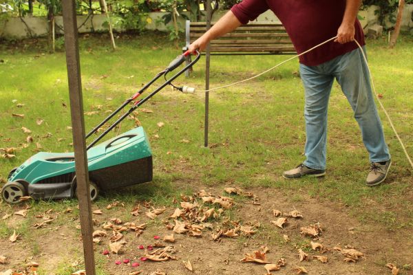 Cost of Leaves Mowing in Delray Beach