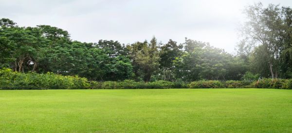 Cost of Golf Course Mowing in Delray Beach