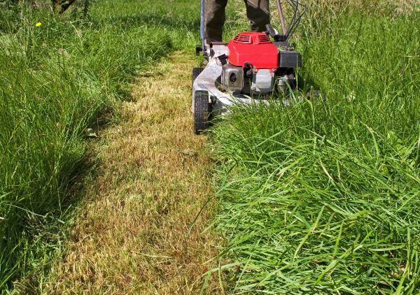 Cost of Leaf Mowing in Delray Beach