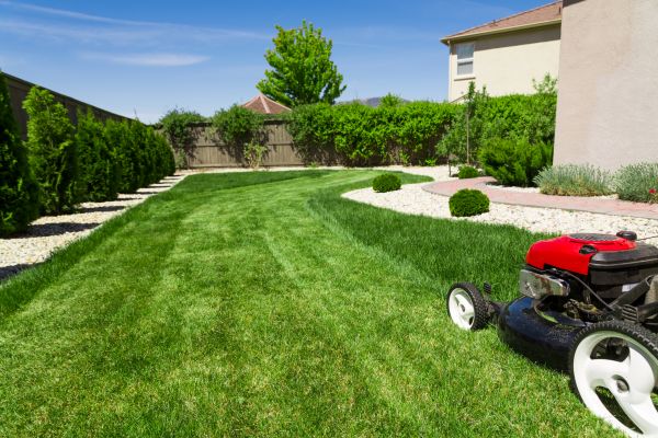 Cost of Residential Lawn Mowing in Delray Beach